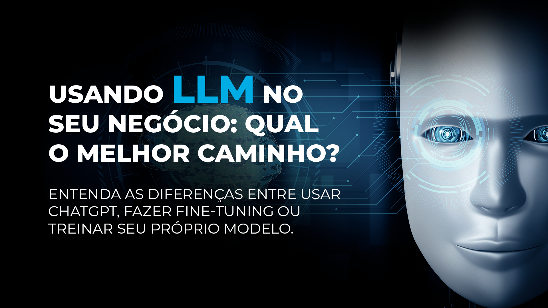 LLMs no seu negócio